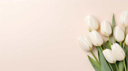 beautiful bunch of white tulips flowers on decent bright cream pastel background - the background offers lots of space for text	