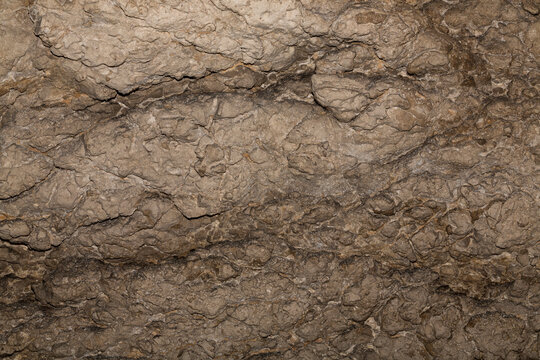 Speleology. Stone background abstract surface. The Bacho Kiro cave, Dryanovo, Bulgaria.