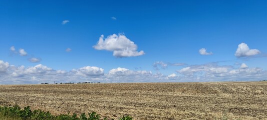 Mowed field under sky. Summer sunny day in the village. A wide field in which cereals grew. Yellow,...