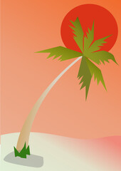 palm tree on the beach - 736598180