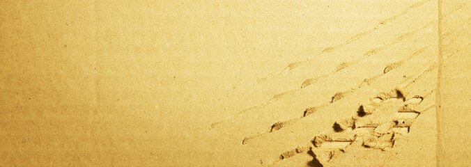 Torn, damaged cardboard or cardboard boxes, leaving claw marks. 