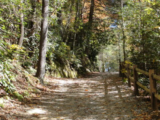 Hiking Trail2