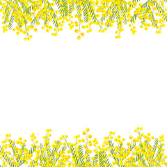 Mimosa yellow spring flower border and frame. Watercolor hand drawn illustration isolated on transparent background. For packaging, postcards, printing, invitations, business cards, advertising.