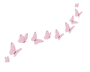 illustration of a pink butterfly design