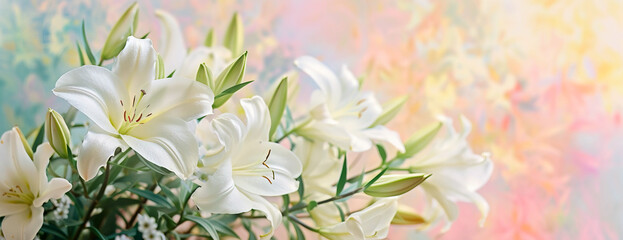 Obraz premium Close up banner with bouquet of white flowers lilies with copy space for text