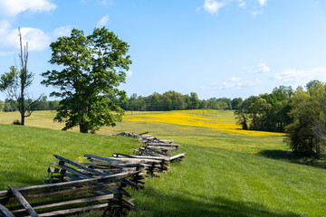 Mill Springs Battlefield National Monument in Kentucky. Canola flower and field with fence at...