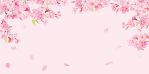 手書き水彩　桜のフレーム - obrazy, fototapety, plakaty