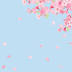 手書き水彩　桜のフレーム