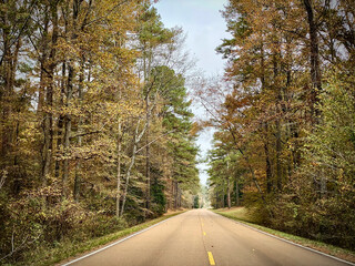 Natchez Trace Parkway a National Park Service scenic road and  old route from Natchez, Mississippi to Cumberland River in Tennessee. No traffic on a road lined with autumn trees and fall foliage.  © EWY Media