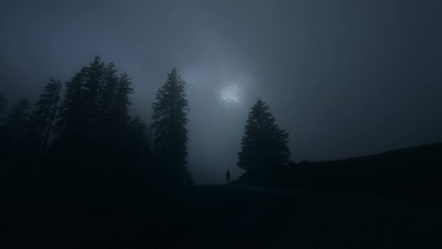 Silhouette of a hiker walking between 2 pine trees in a dark forest on a hill during a foggy night