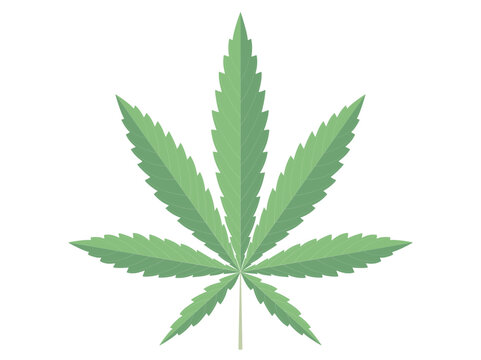 Cannabis Blatt Icon,
Vektor Illustration isoliert auf wei&szlig;em Hintergrund

