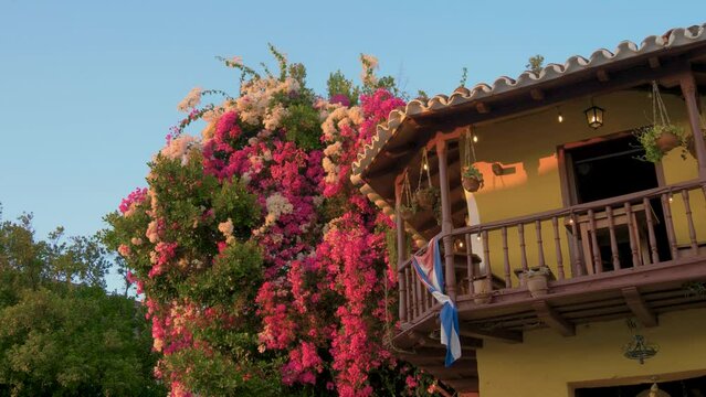 Luscious bougainvillea and restaurant with cuban flag, former Casa de los Conspiradores, in an old colonial house at Plaza Mayor. Place in downtown near House of music, Casa de Musica, Trinidad, Cuba.