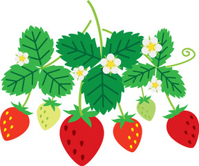 いちごと葉　シンプル