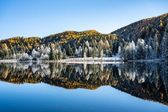 Prebersee in autumn with reflection, Lungau, Land Salzburg, Salzburg, Austria, Europe