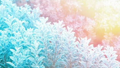 Fototapeta na wymiar Horizontal background with bushes in frost, pleasant pastel colors