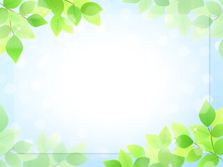 新緑と青空のフレーム　キラキラの葉っぱ

