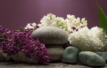 stones and flowers plants for the podium, product presentation medicine perfumery cosmetics