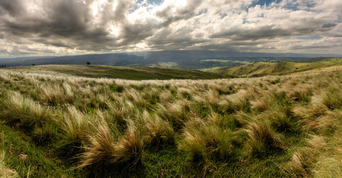 Campo Argentino, Provincia de Cordoba, Argentina