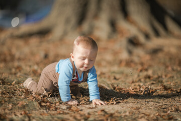 little baby boy 7 months old is crawling and climbing the outside
