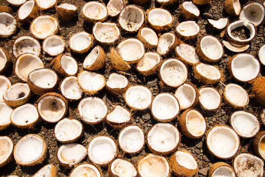 piles of coconuts dried in the sun to be made into copra. This copra will be processed into products made from coconut oil