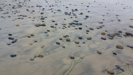 A stony beach.