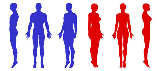 赤色と青色の男女の全身正面 横向き 斜めのシルエットイラストセット - obrazy, fototapety, plakaty