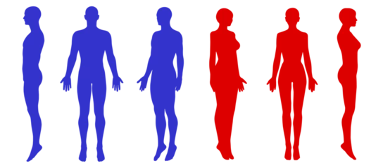 Foto op Plexiglas 赤色と青色の男女の全身正面 横向き 斜めのシルエットイラストセット © きょうこ あしたば