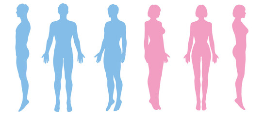 男女の人体シルエット 全身正面 横向き 後ろ姿 斜めのイラストセット ピンク ブルー