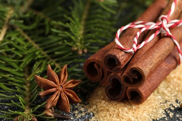 Different aromatic spices and fir branches on table, closeup