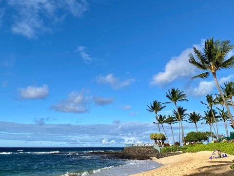 Sandy tropical beach with ocean, blue sky and palm trees