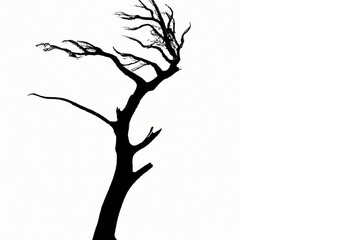 Black silhouette of a tree isolated on a white background, with branches and leaves in a simple design, representing nature and seasons