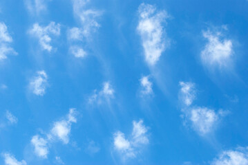 gentle clouds in the blue sky