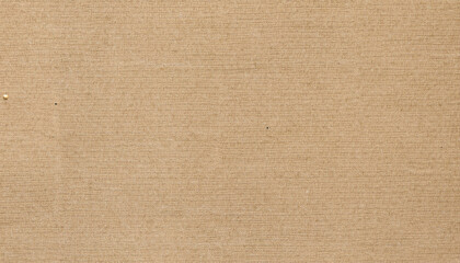 Cardboard sheet of paper texture; brown and rough canvas background
