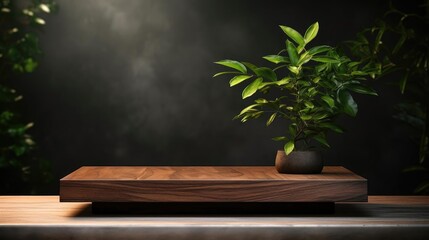 podium for product stand or display with plant background and cinematic light, front view