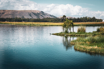 Fototapeta premium lake in the morning