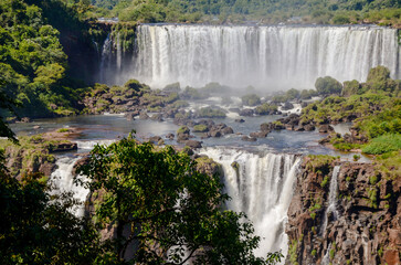 waterfall in the jungle iguazu falls