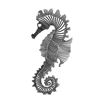 recommend clip art: Simple line art illustration of a seahorse 2