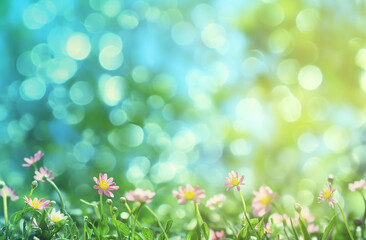 Obraz na płótnie Canvas Spring fresh blurred bokeh background