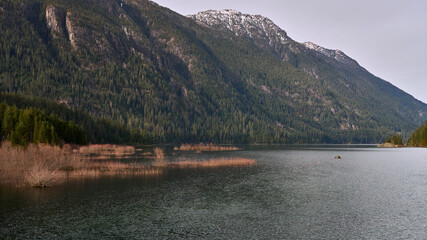 Fototapeta premium Looking down Buttle Lake from the bridge at the end of the lake.