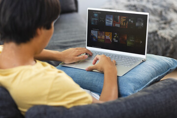 Teenage Asian boy browses a video streaming site on a laptop at home