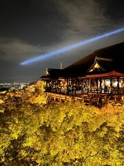 Obraz premium Sakura Season in Kyoto, Japan’s Ancient Capital