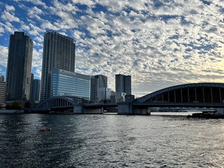 Tokyo, Japan’s Bustling Vibrant Capital