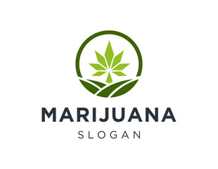The logo design is about Marijuana and was created using the Corel Draw 2018 application with a white background.