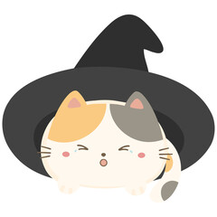 Cat with witch’s hat