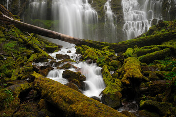 Majestic Proxy Falls embraced by verdant moss in Oregon.