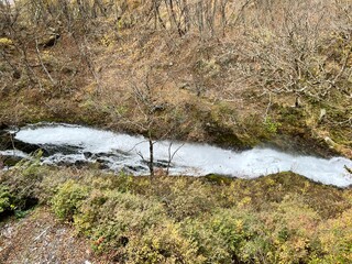 Nikko's Enchanting Autumn Colors in Nikko, Tochigi, Japan