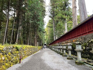 Nikko's Enchanting Autumn Colors in Nikko, Tochigi, Japan