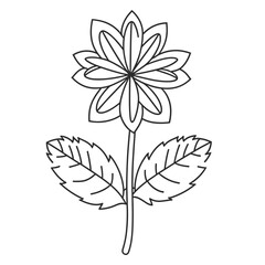 Flower outline Vector