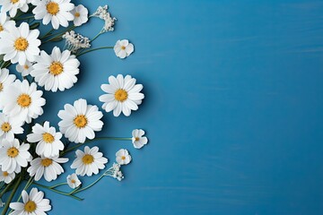 Large white daisy flowers on a blue background.