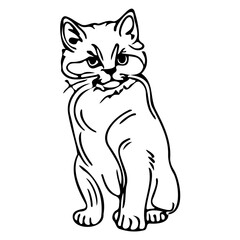 Fototapeta premium sketch line art animal cat kitten characters hand drawn isolated set. Vector graphic design element illustration